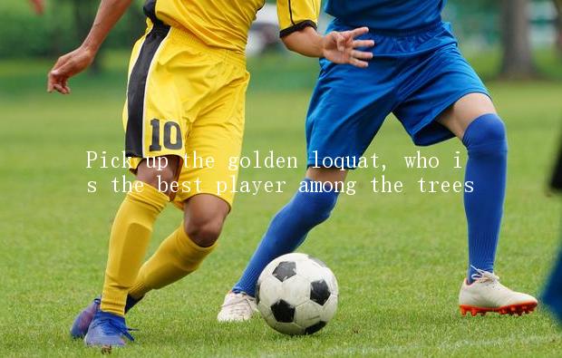 Pick up the golden loquat, who is the best player among the trees