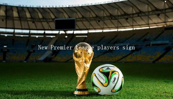 New Premier League players sign